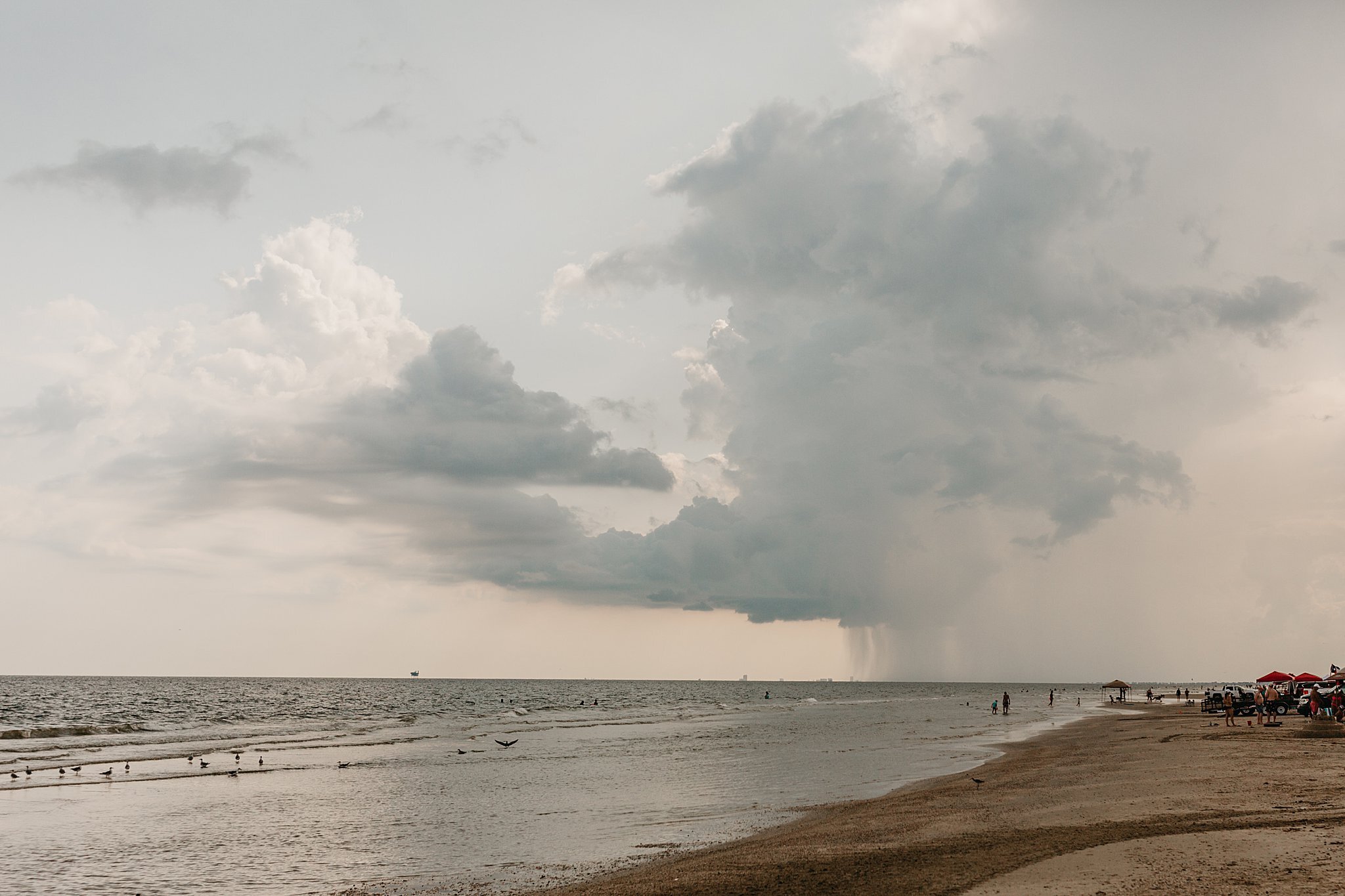 Wilderlove Co_Crystal Beach Wedding_Galveston Wedding Photographer_Beach Wedding_North Texas Wedding Photographer_0049.jpg