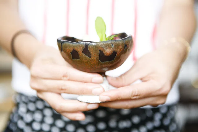 Pantry Preview: Shino Takeda