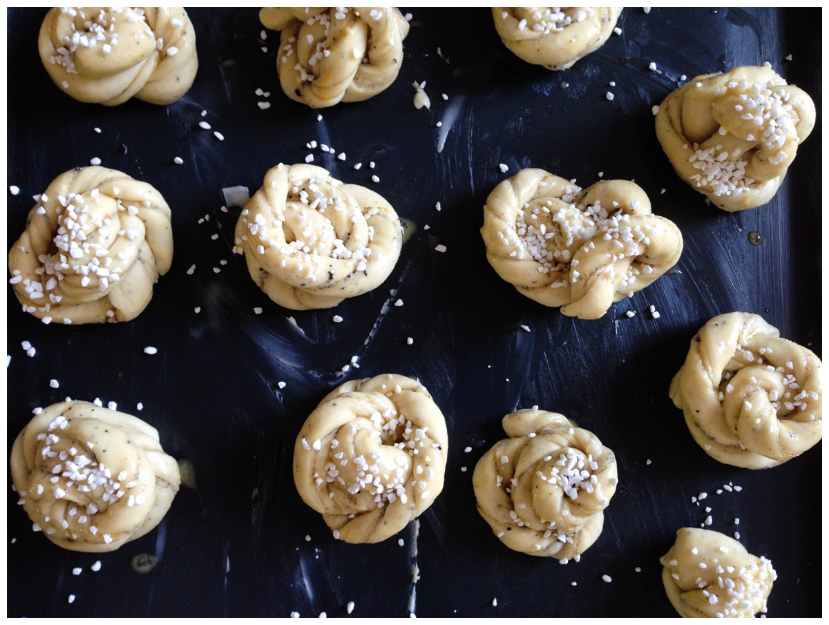 Just look at these little beauties!&nbsp;