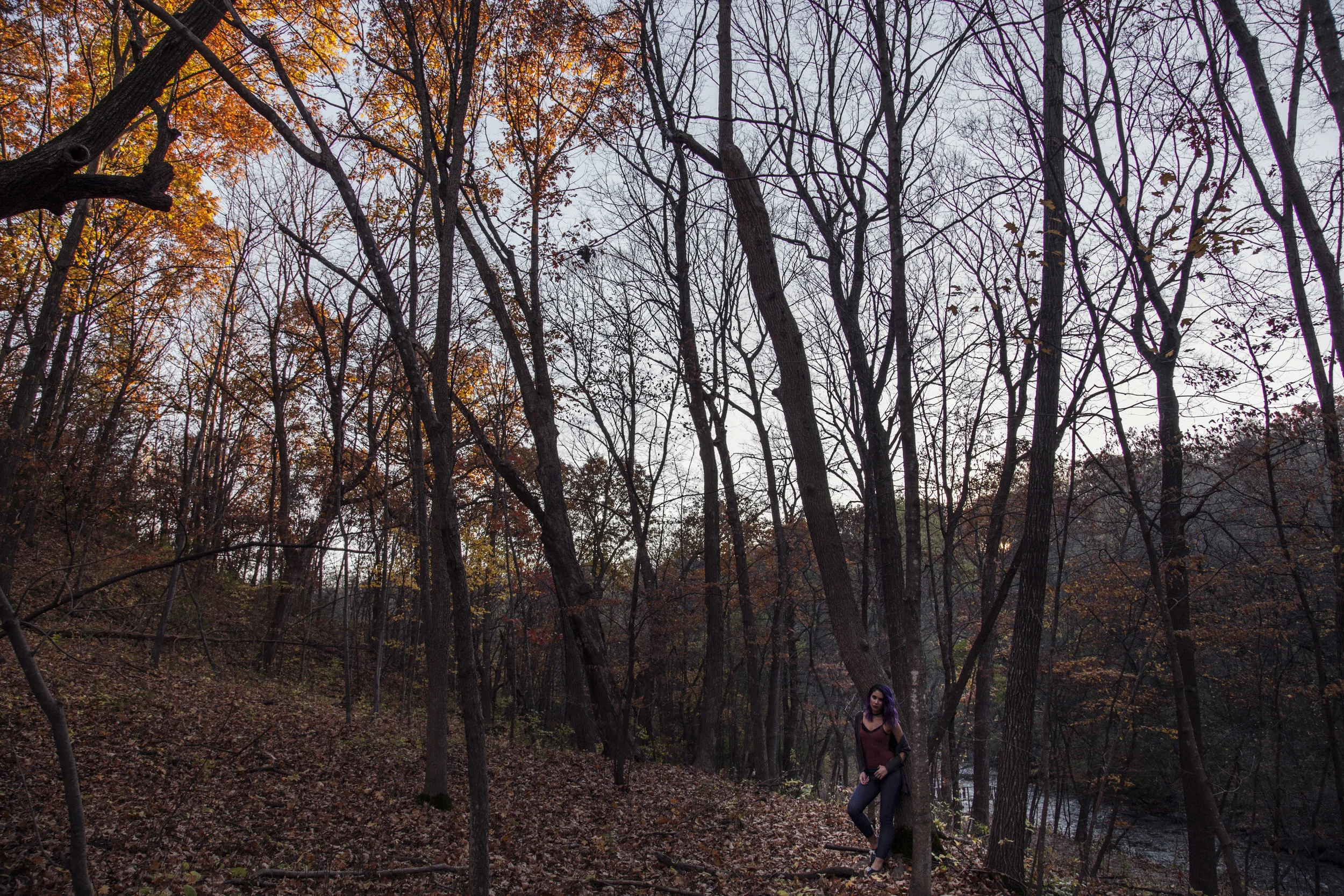 _MG_4219.jpg