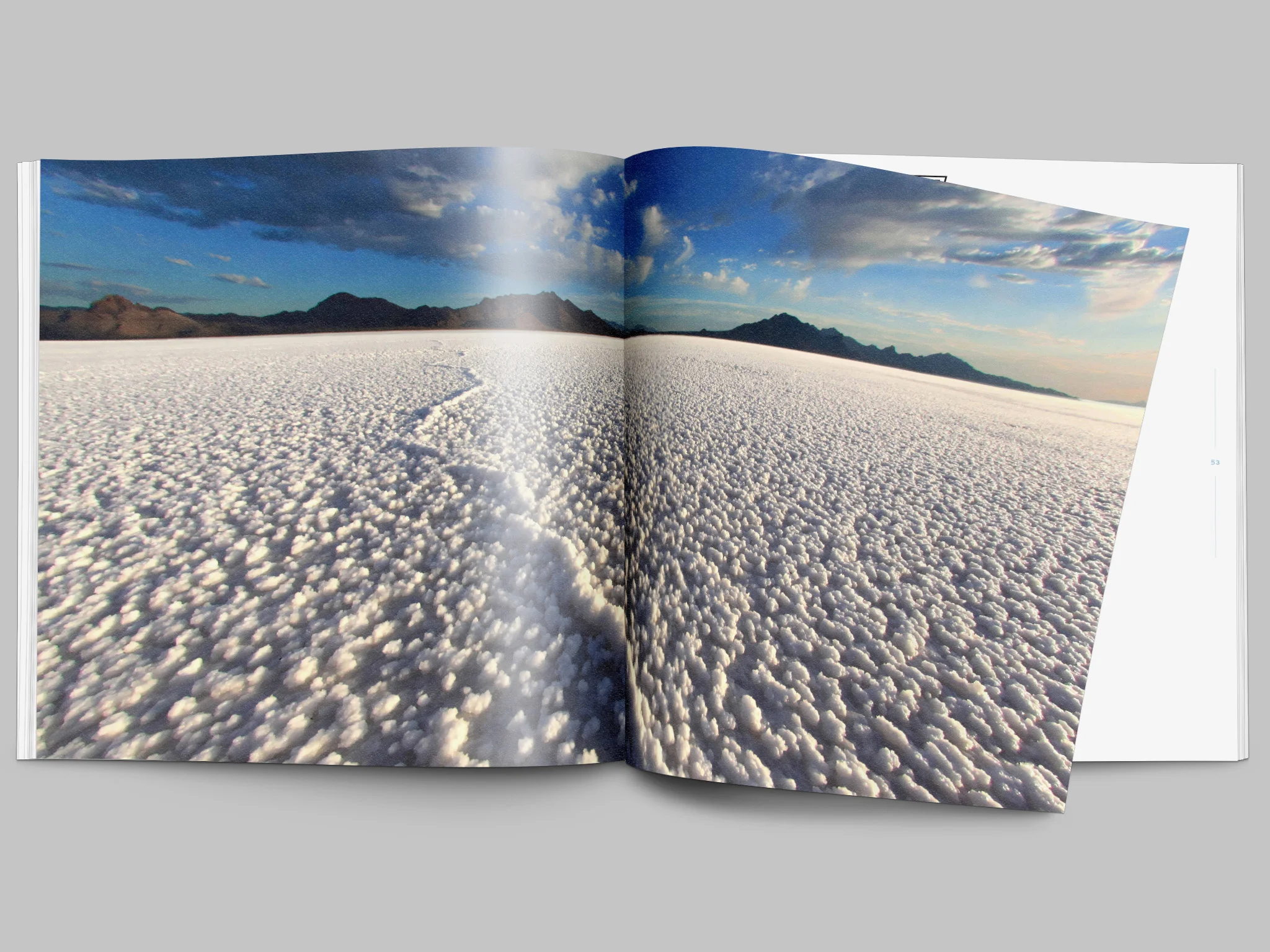 landspeed_horizontal_0000s_0020_landspeed_bookmockup.18.jpg