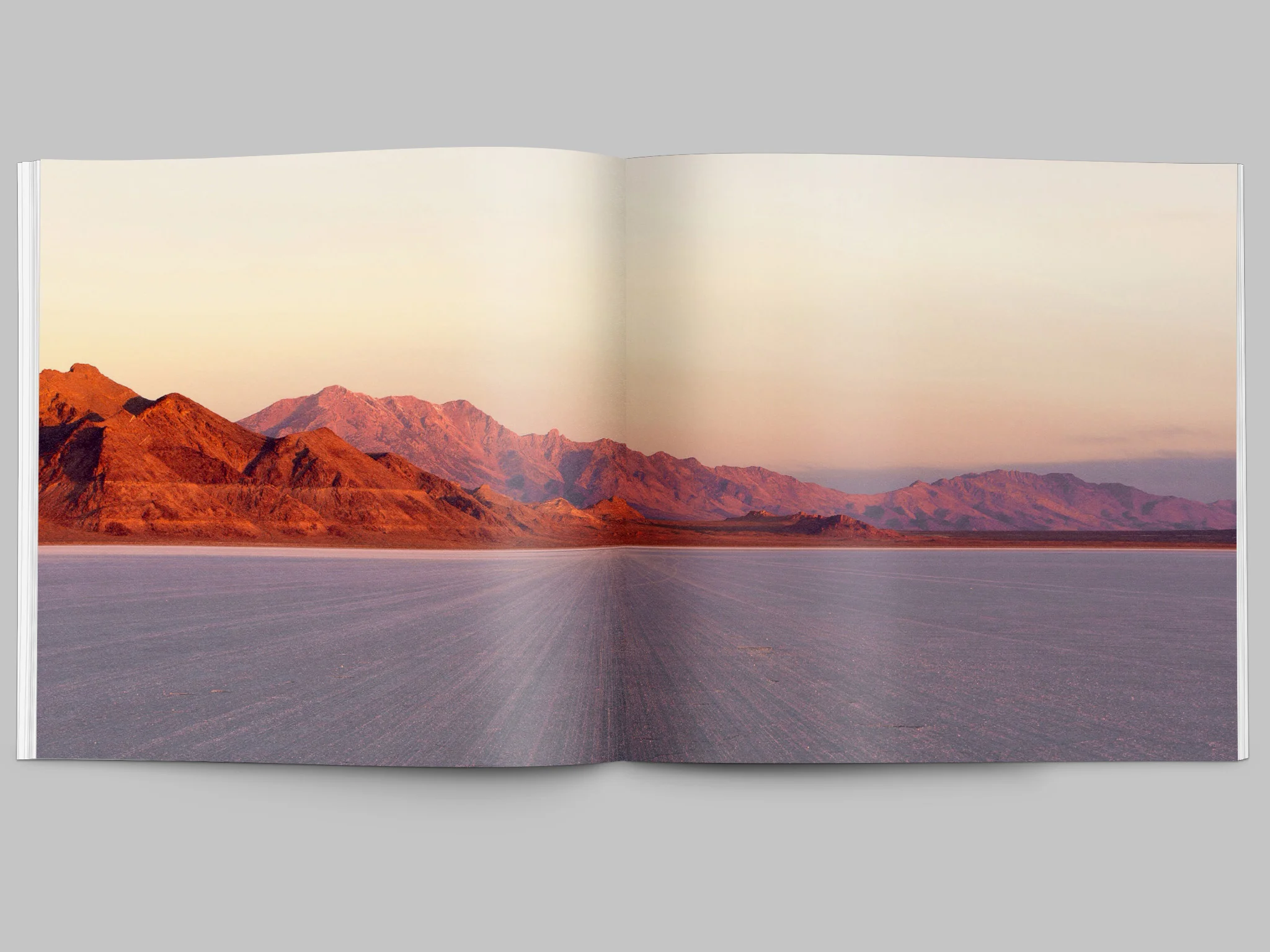 landspeed_horizontal_0000s_0004_landspeed_bookmockuptwopager.1.jpg