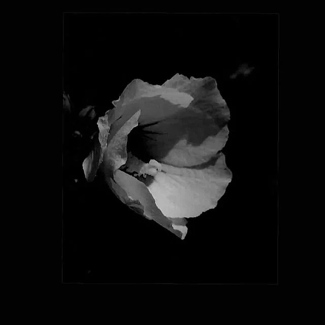 Love and Happiness. 🥀