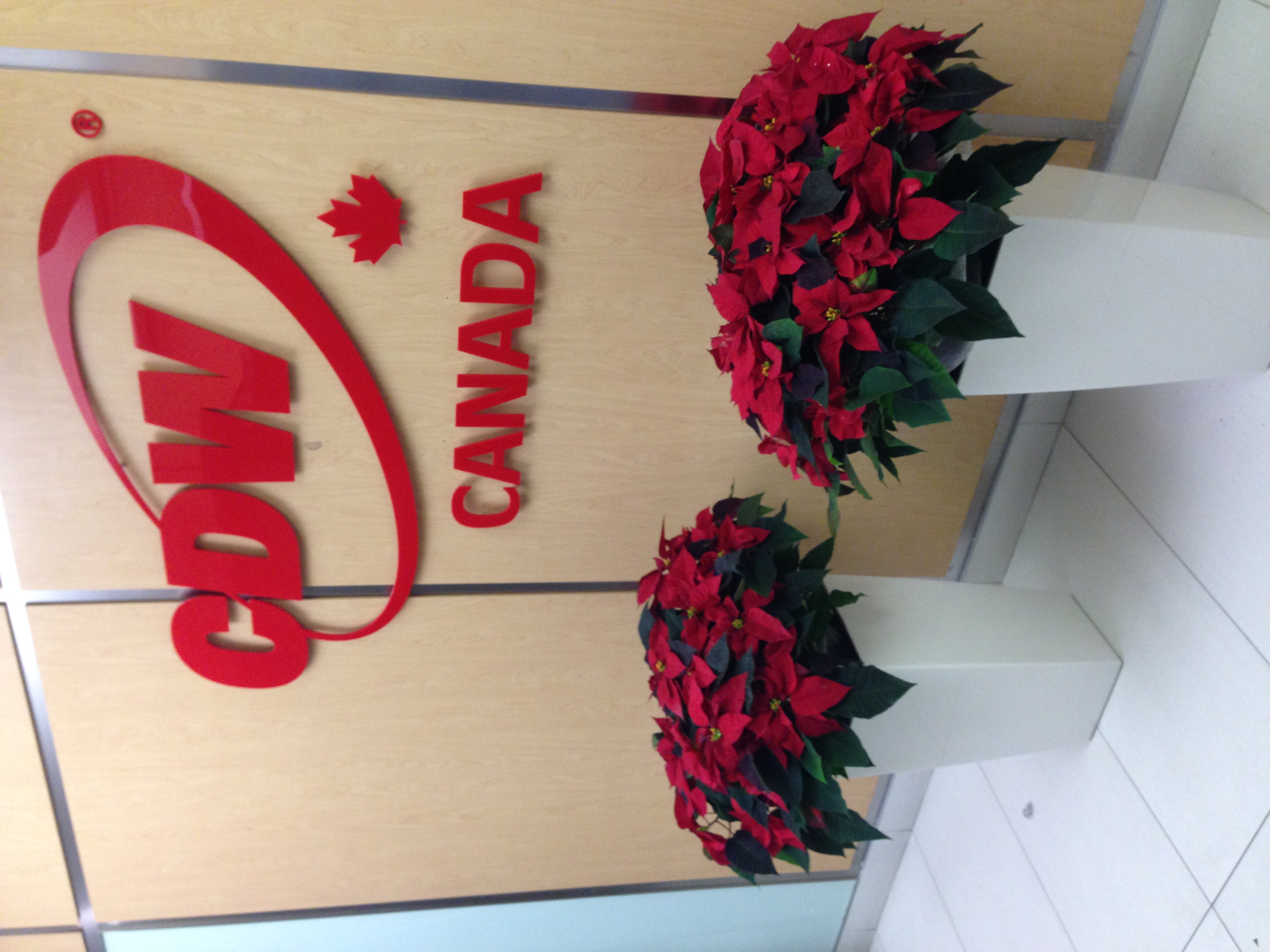 CDW Holiday Planters 2.jpg