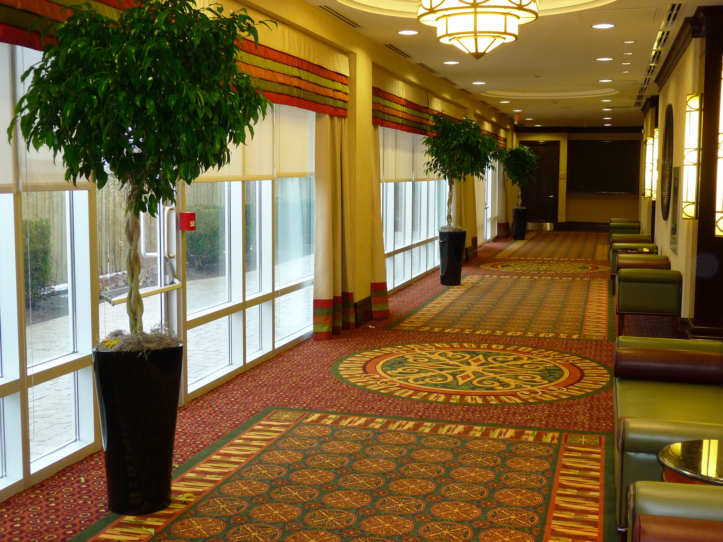 June 7 09 094.jpg