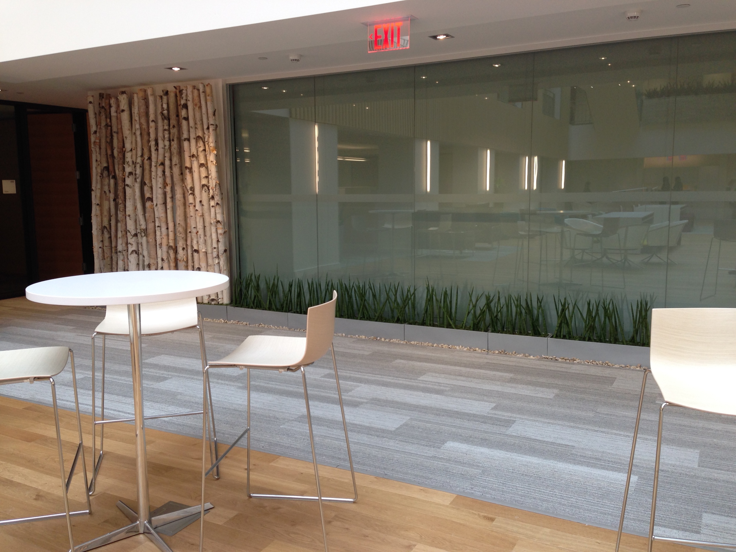Birch Wall and Cylindrica.jpg