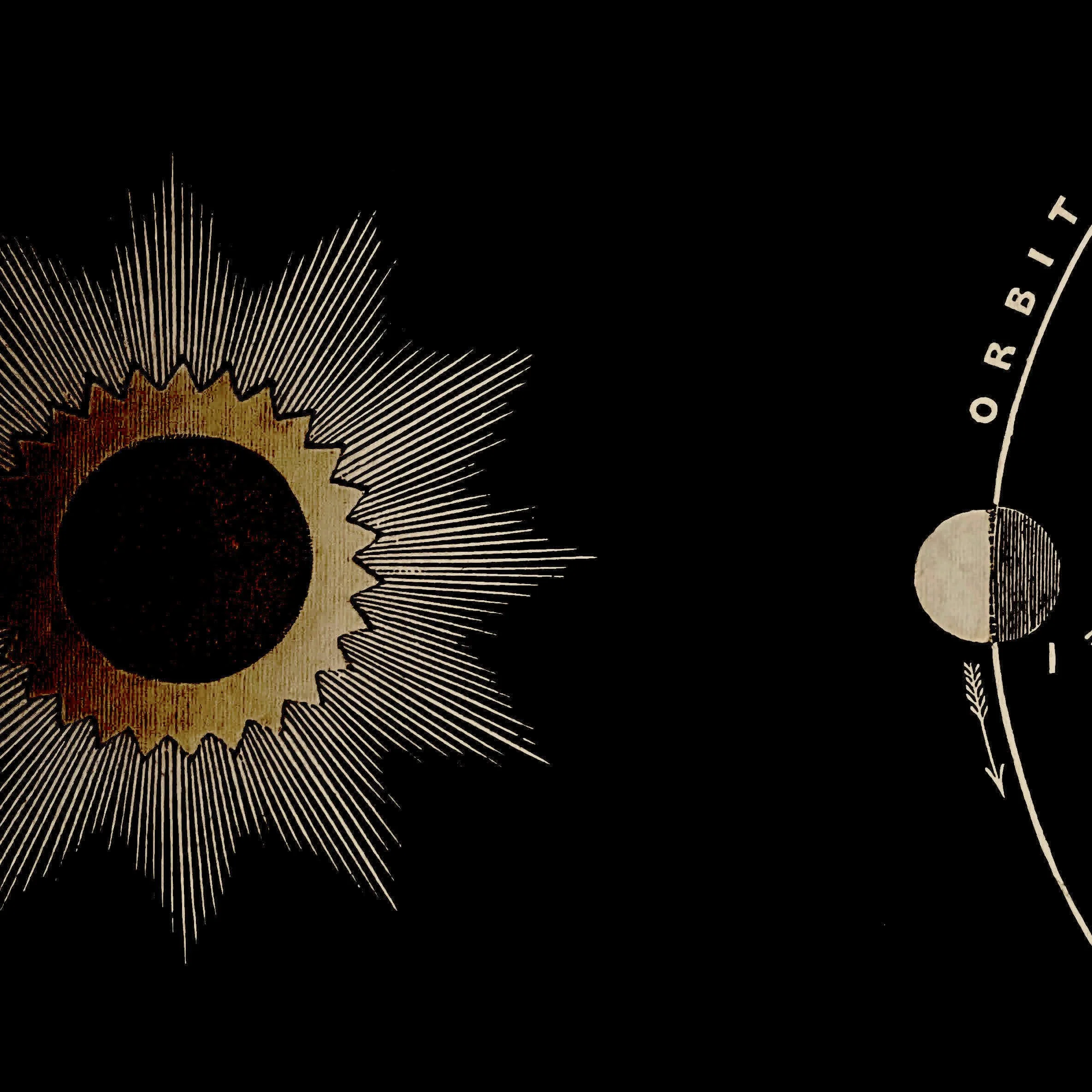 bright sun back.jpg