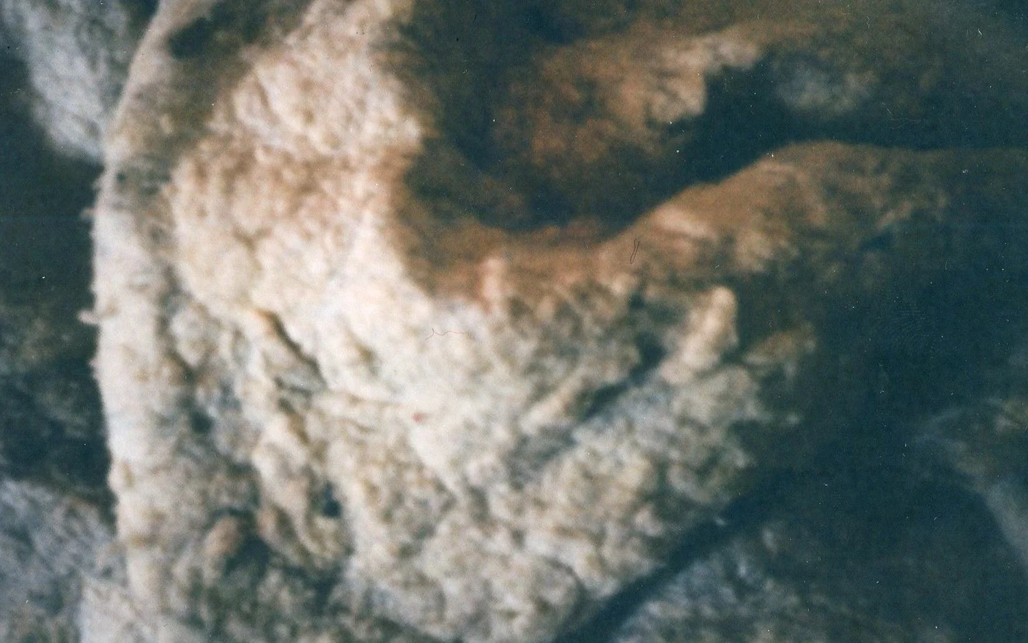 img015_o.jpg