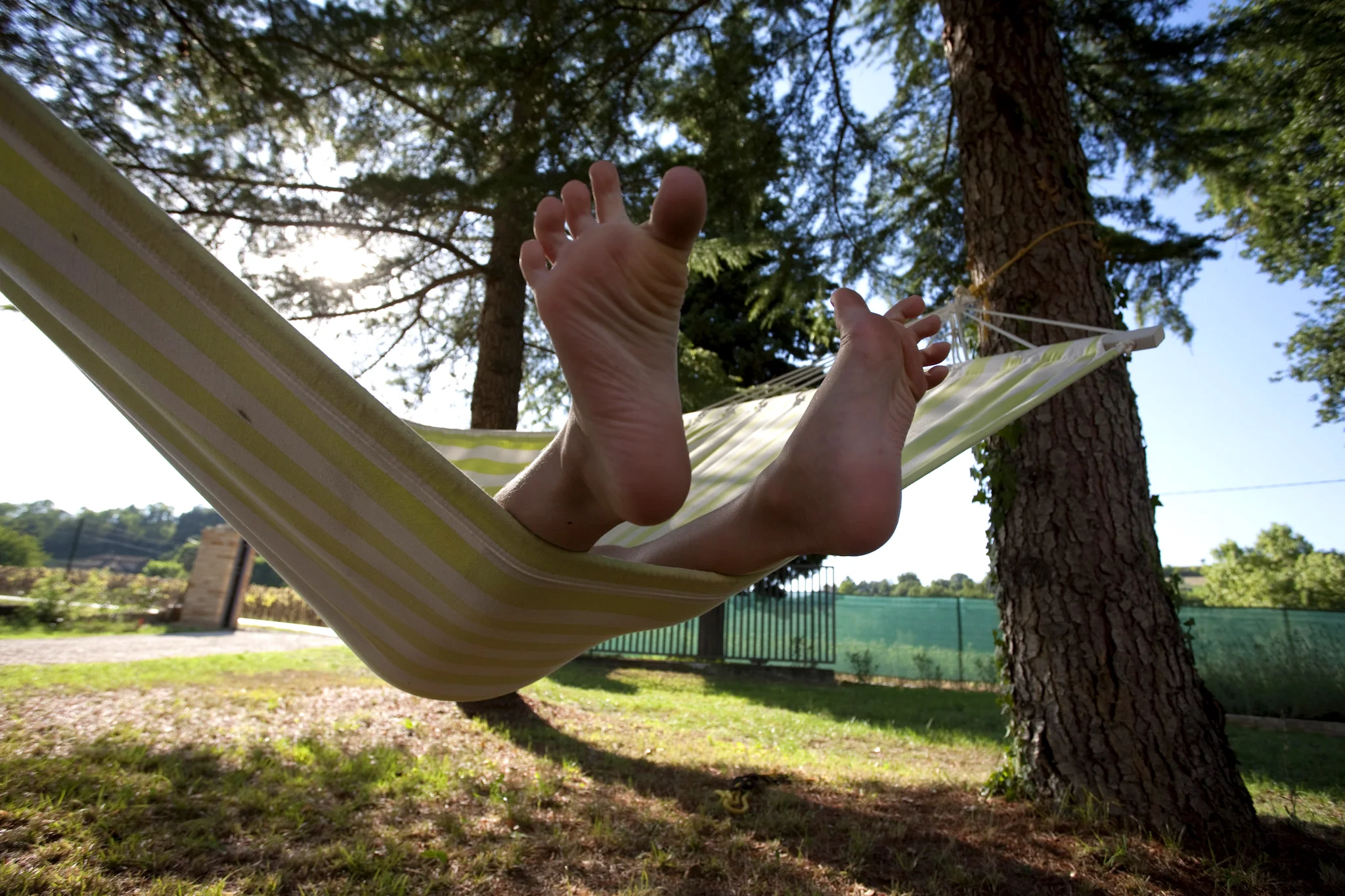Hammock.jpg