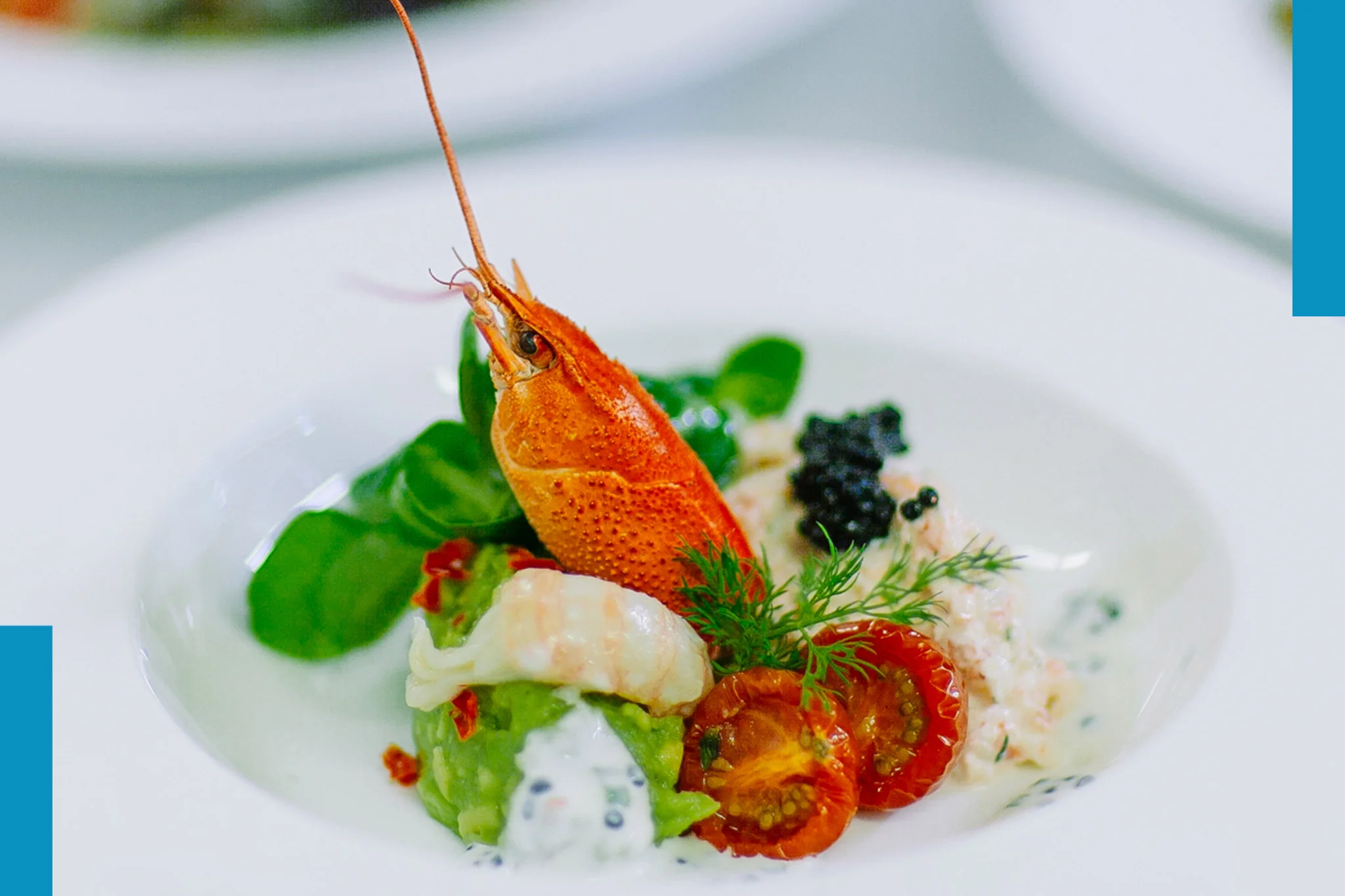 Ceviche mal anders...