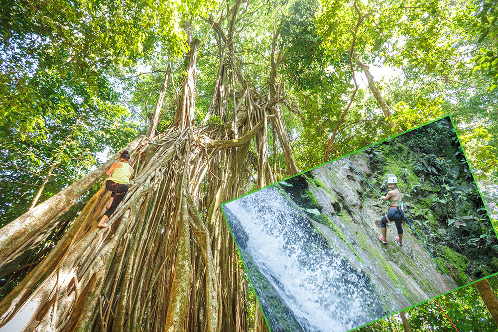 THE COMBO TOUR ~ $130 per person Enjoy our most popular tour and go waterfall rappelling and tree climbing in the same day. Trip details below. WEAR GOOD FOOTWEAR (Tevas, sneakers, Keens, ect.). Bring cameras and extra batteries. Transportation not included. Approx. 5-6 hours / Ages 10+