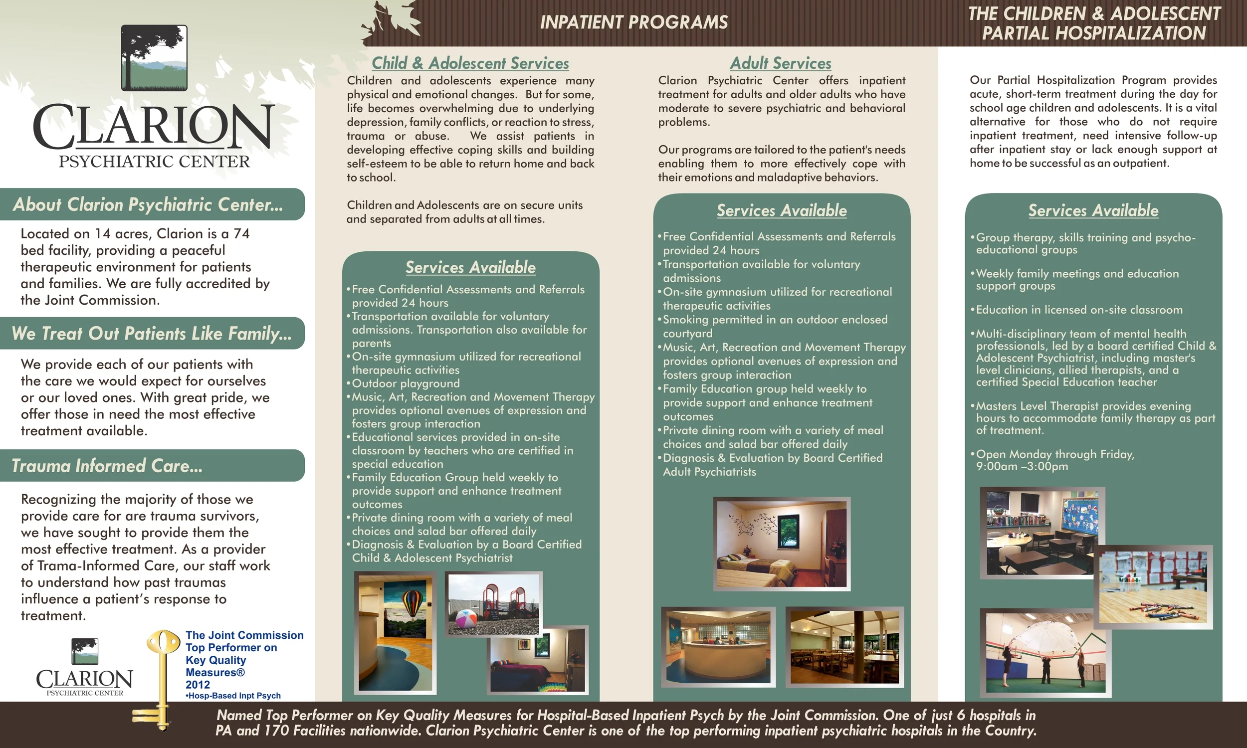 4 fold brochure, viewed in print-ready format, side 2