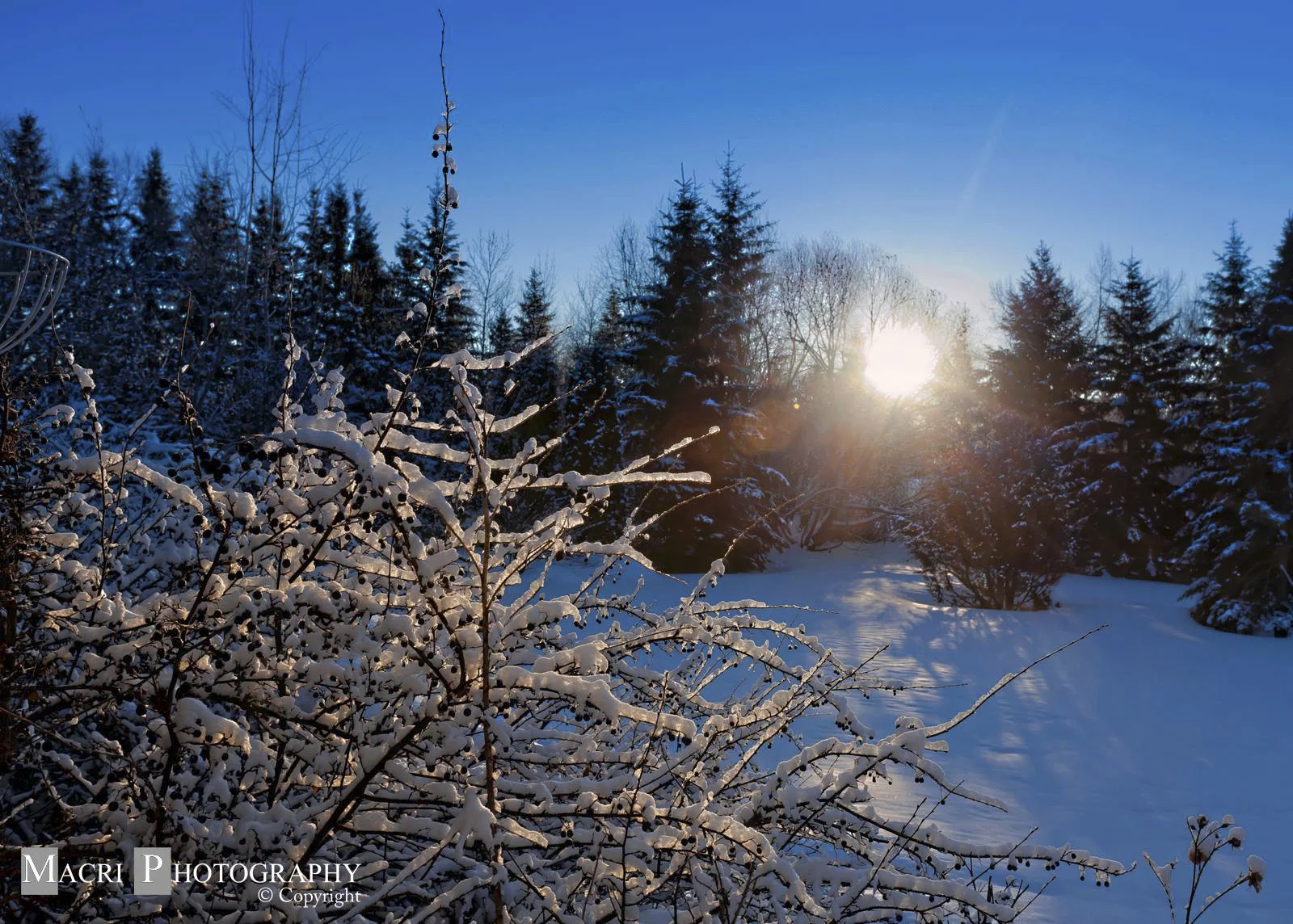 Winter sunrise at -50ºC - Sherwood Park, Alberta, Canada
