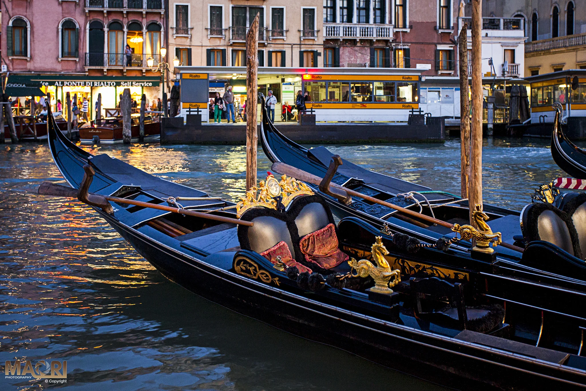 Venetian Gondolas, Venice, Italy