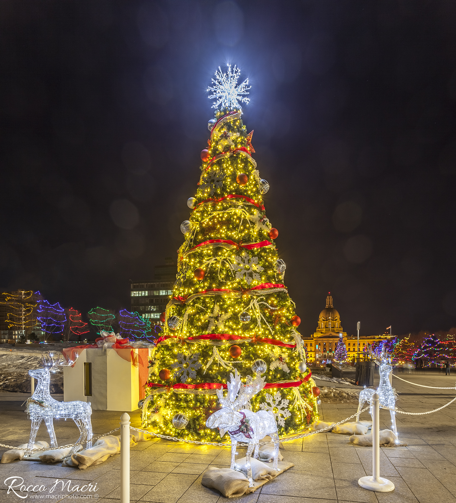 Christmas lights at Legislature-1©.jpg