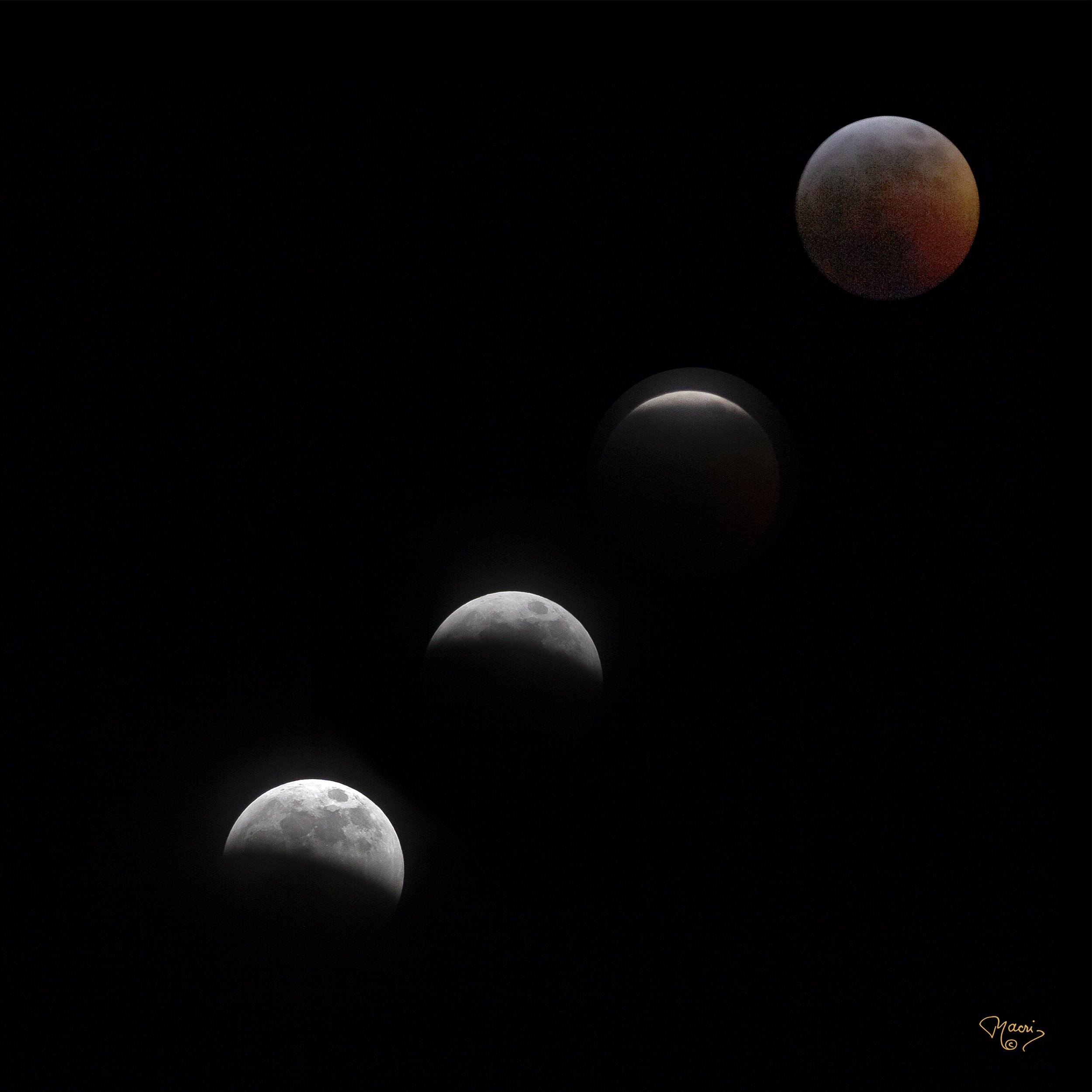 Lunar Eclipse-10x10.jpg