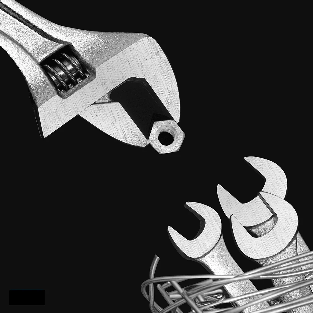 Wrench Feeding Baby Wrenches Please order Photographic Prints on Metal, Canvas or Metallic Paper Prints. Please email us at: macriphotography@shaw.ca