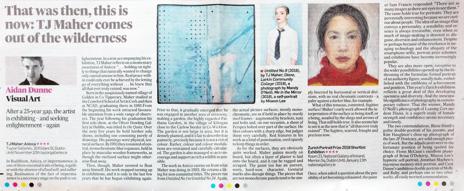 Zurich Portrait Prize, Irish Times, 2018