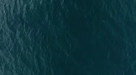 mobilebackground_invert.jpg