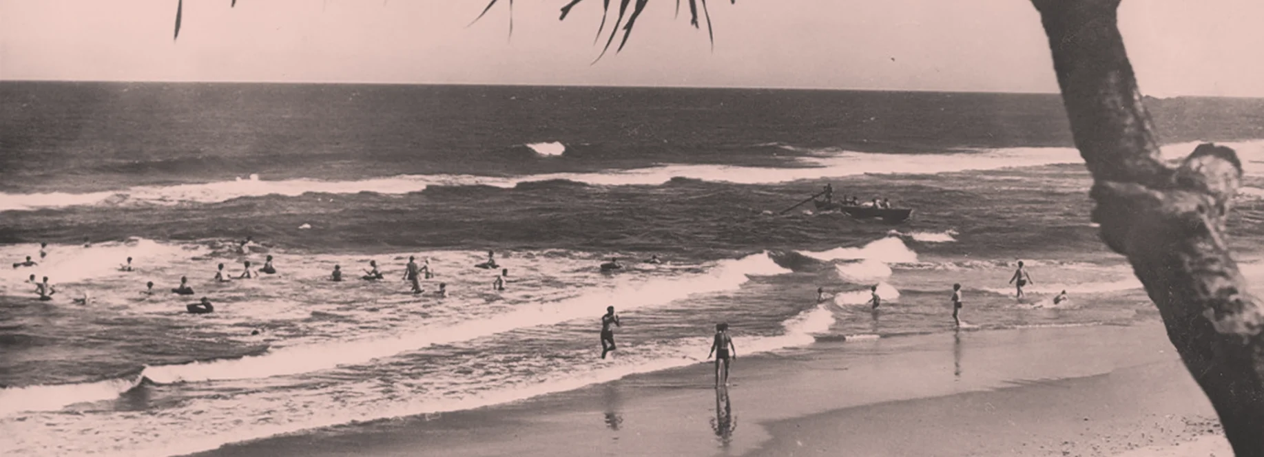 header_Beach.jpg