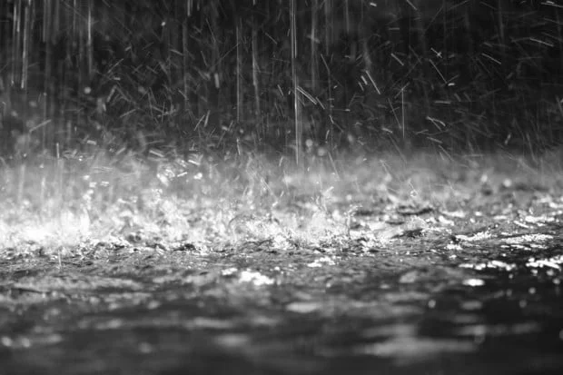 Scavenger Hunting L.A.: When It Rains, It Pours
