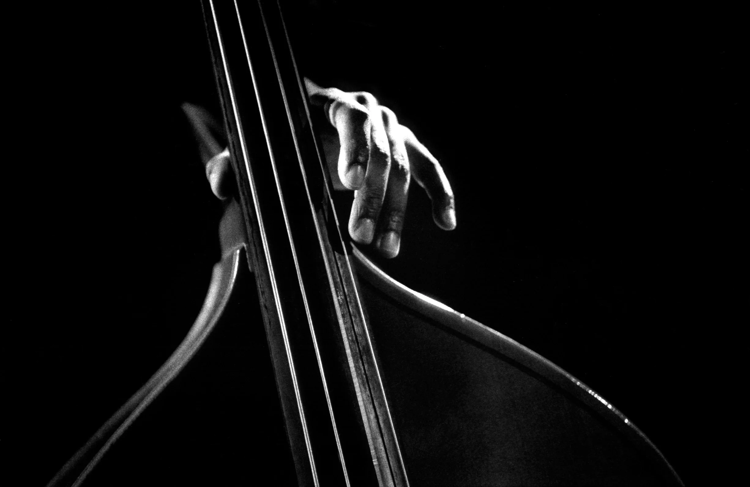 Bass.jpg