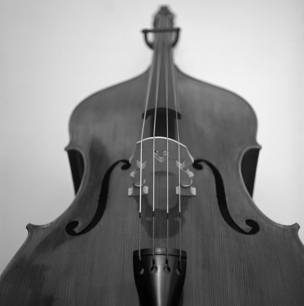 img002.jpg