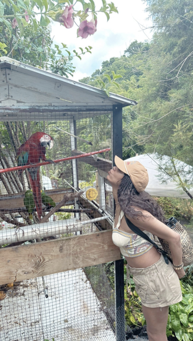 Screenshot 2026-01-25 at 3.17.44 PM.png