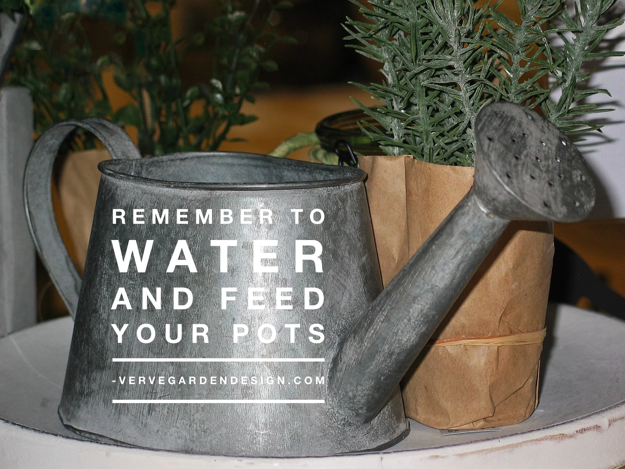 Plants in pots rely on you for food & water more than you think. Tomato food weekly ideal for flowers.