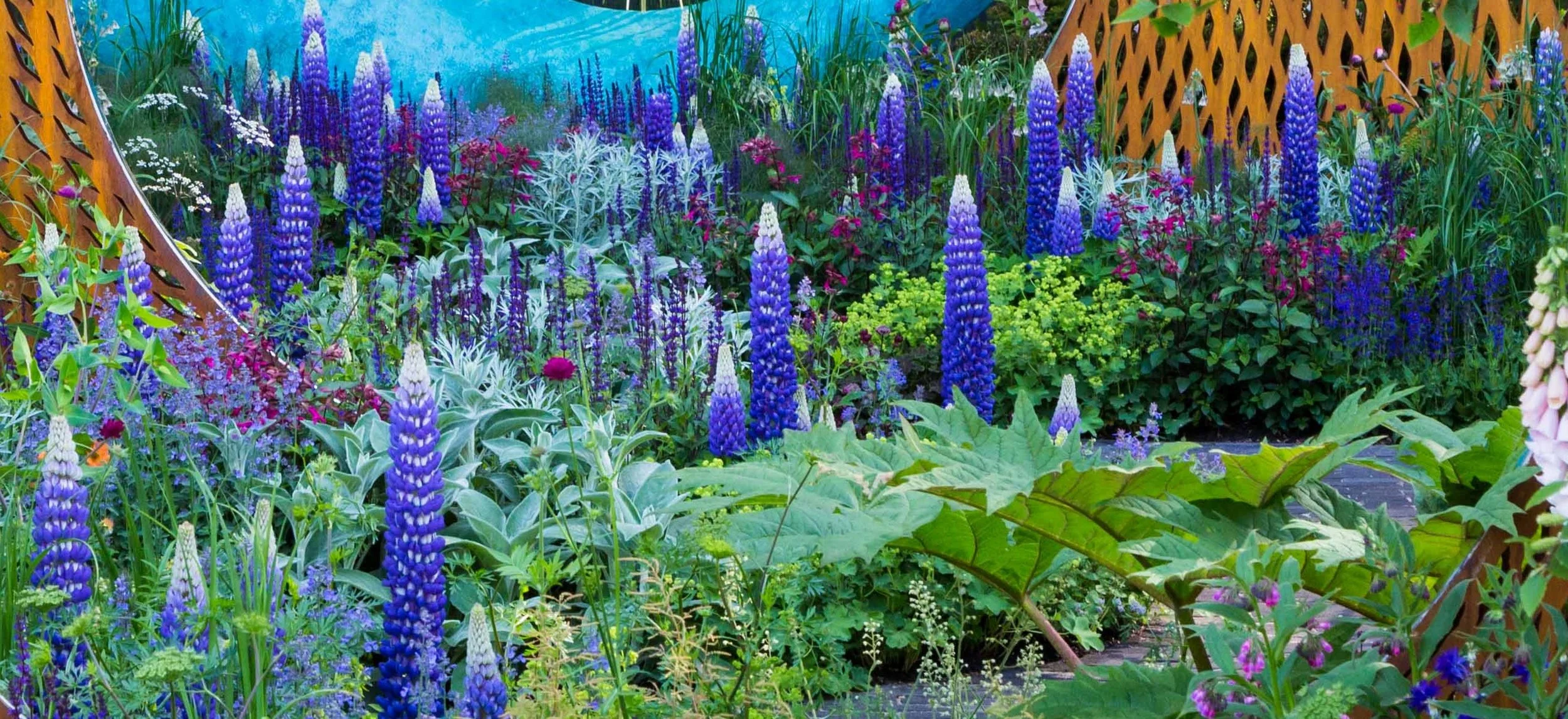 Expertly-created depth, texture, balance and colour-restraint with wow factor by Nic Howard in the David Harber/Savills Garden. Image : Chris Denning/Verve Garden Design.