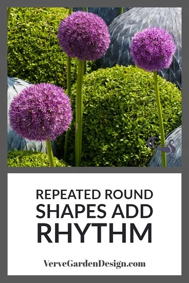 Allium and Buxus Round Shapes Create Rhythm in Garden Borders. A Place In The Garden Trade Stand. Image: Chris Denning/Verve Garden Design