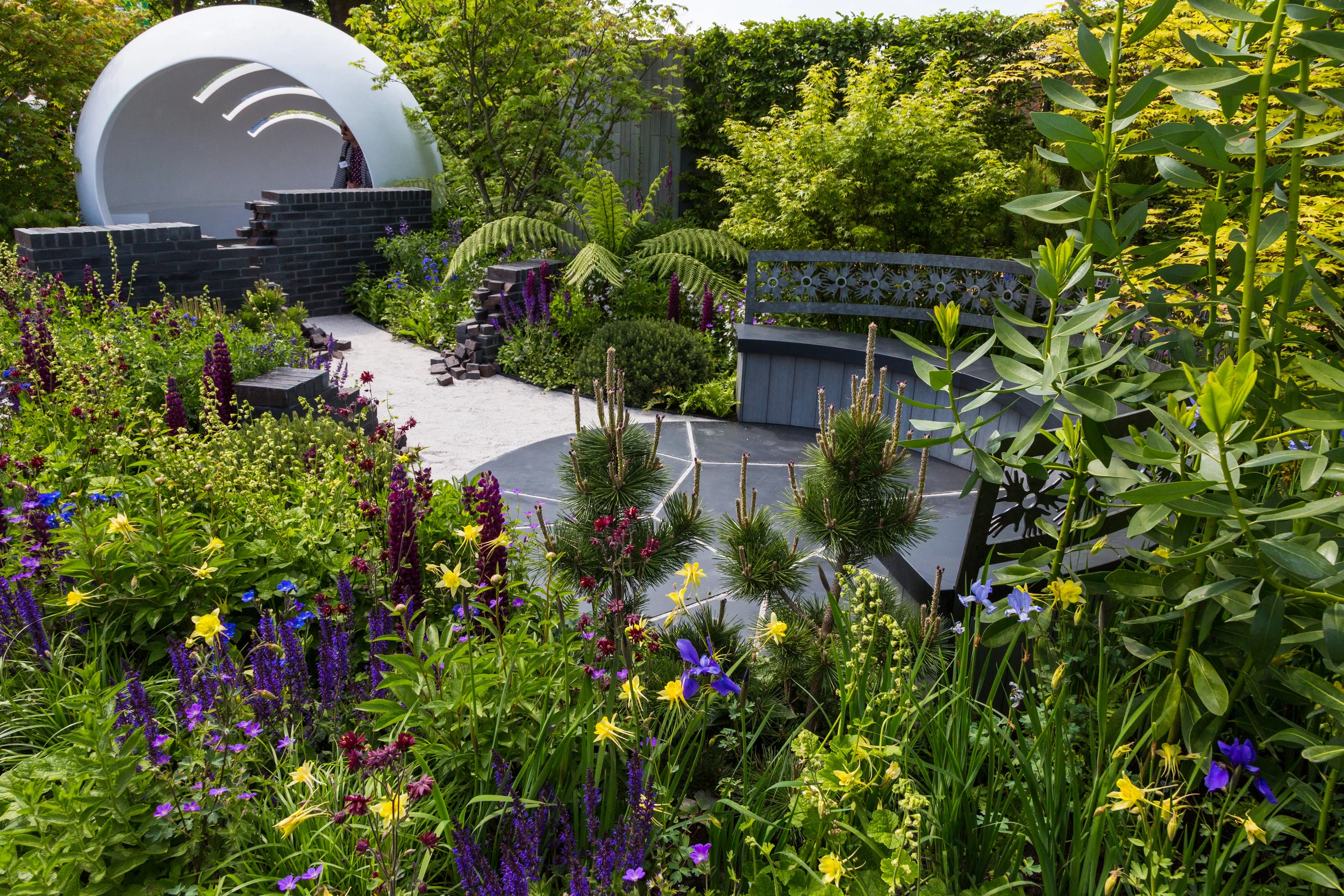 Strong contrast between deep-coloured flowers and lighter green leaves repeated beautifully. Designer: Naomi Ferrett-Cohen. Image Chris Denning/Verve Garden Design.
