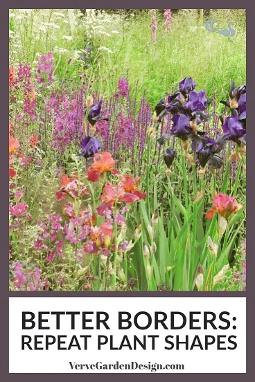 Repeated upright plant shapes of Iris, Salvia, Verbascum and grasses. Designers: Andrew Wilson & Gavin McWilliam. Image: Chris Denning/ Verve Garden Design