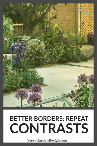 Contrasting dark green and silvery leaved plants are repeated for a calm effect. Designer: Tom Massey. Image: Chris Denning/Verve Garden Design.