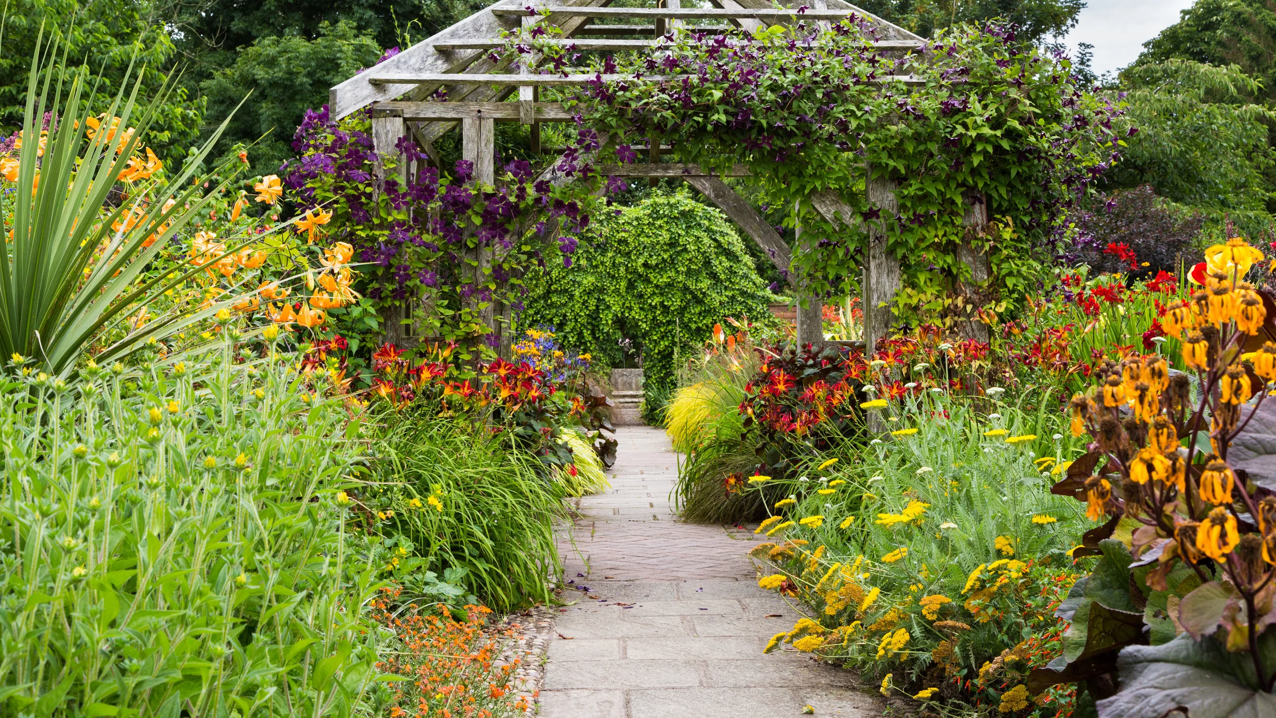Warm Colours in Deep Tones Add Drama To the Pergola at Wollerton Old Hall. Image: Chris Denning/Verve Garden Design.