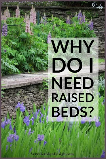 Why do I need garden raised beds? Image: Verve Garden Design.