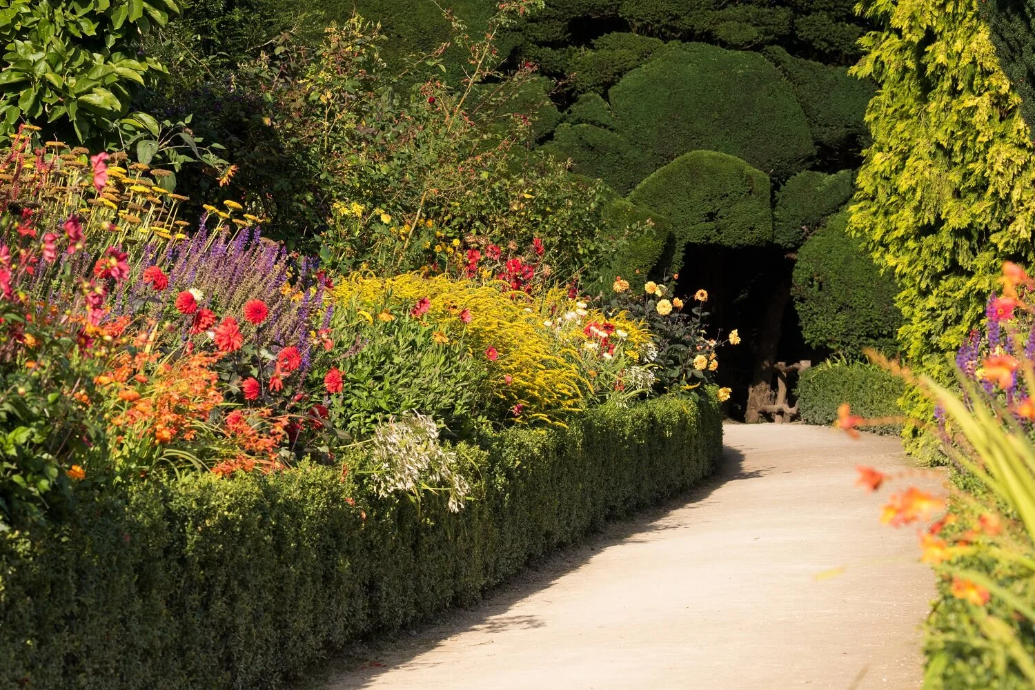 Hot Late Summer Colours in the Powis Castle Terraces. Garden: National Trust. Image: Chris Denning/ Verve Garden Design.