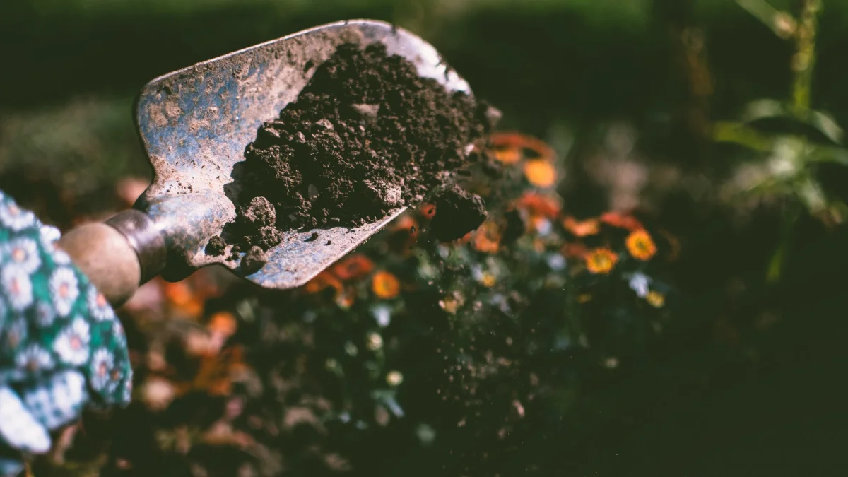 How To Check Out Your Garden Soil.jpg