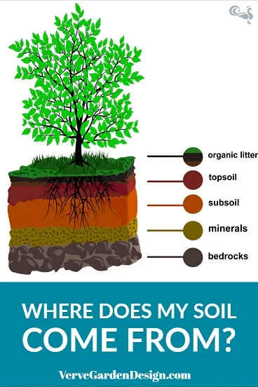 Garden Soil Basics Part 1 Why Test Your Garden Soil Verve Garden Design