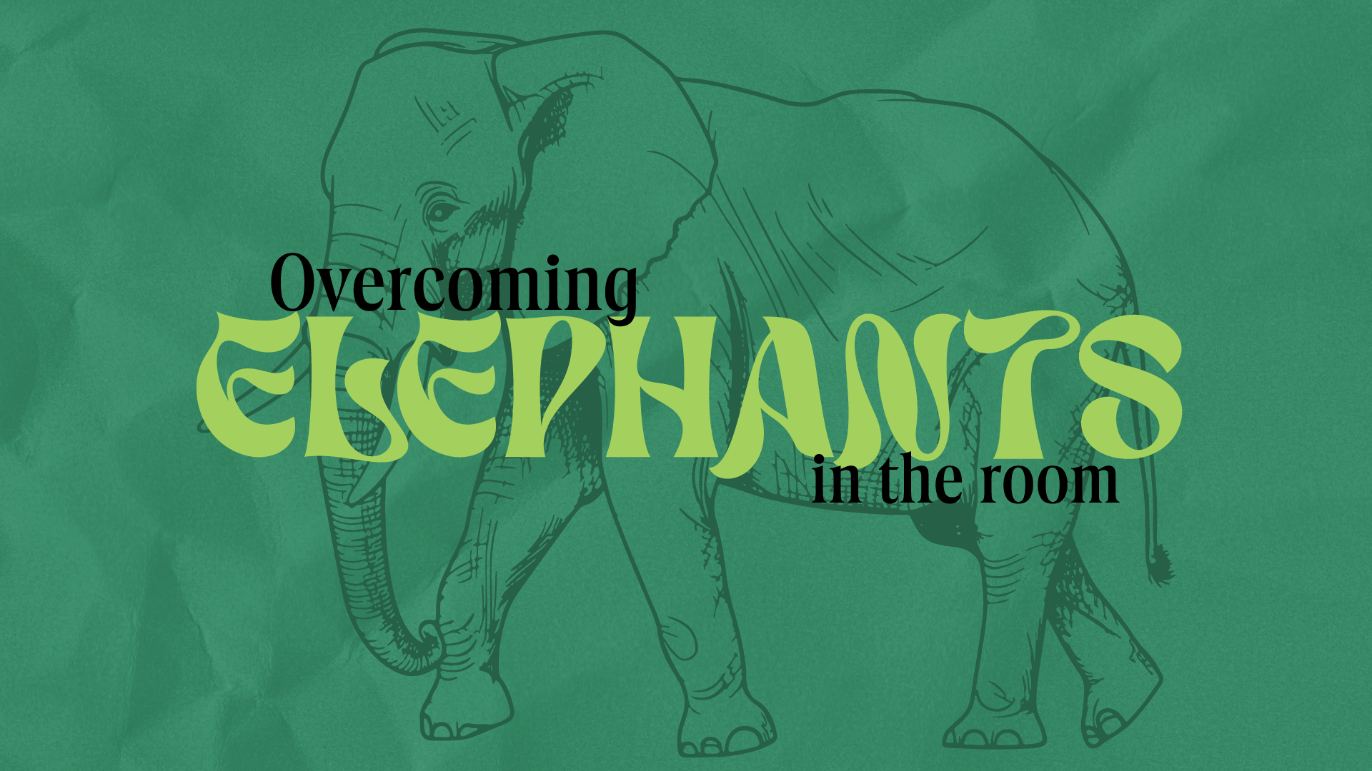 Overcoming Elephants in the Room Title Slide.png