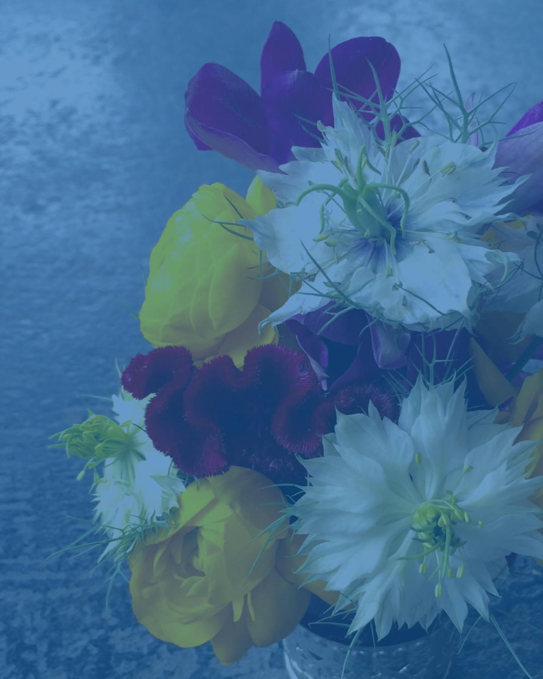 Untitled design-2.png