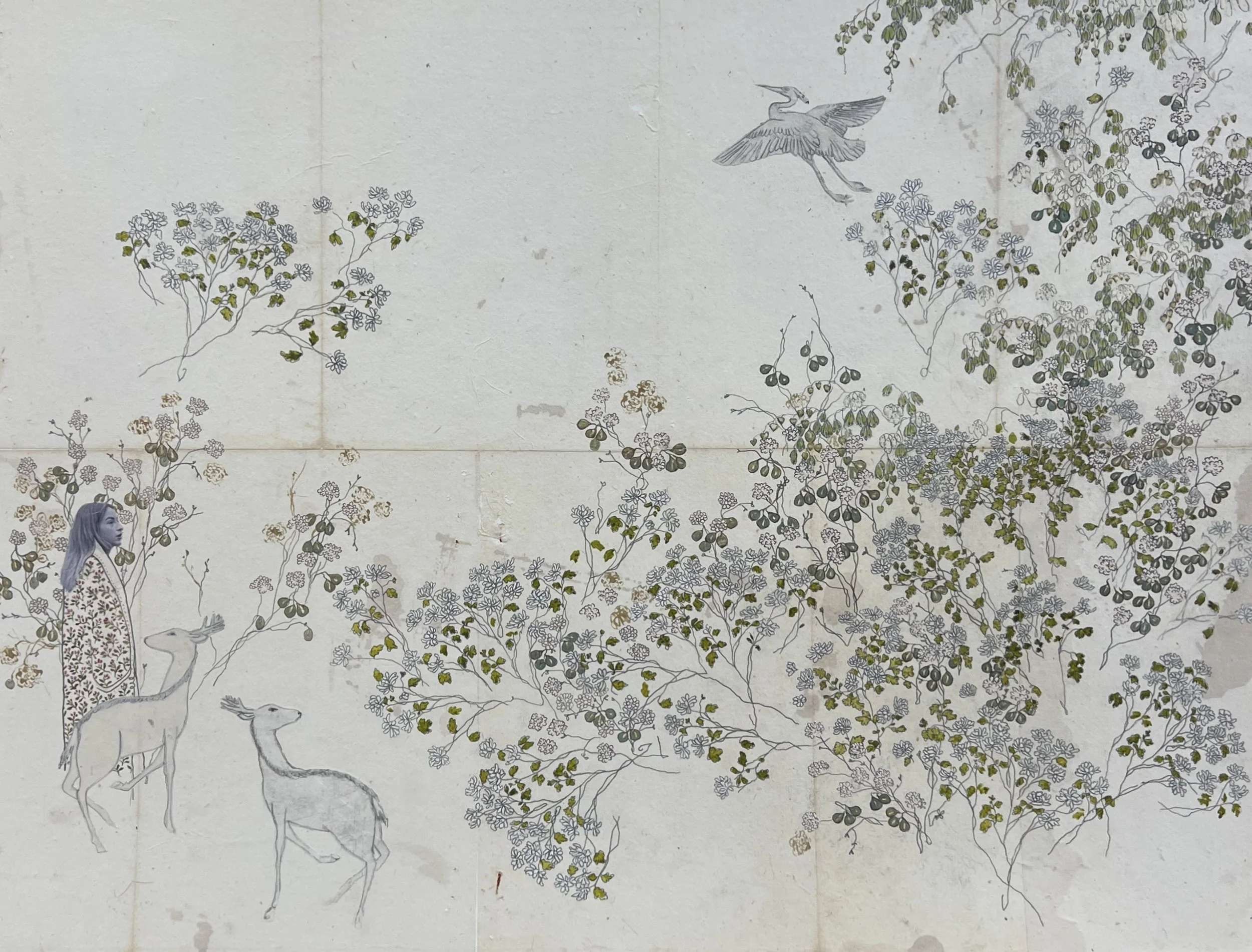 gone to the saho river.JPG