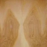 Birch-Natural