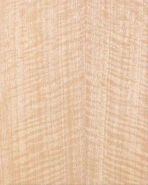 Anigre, Quarter Sawn