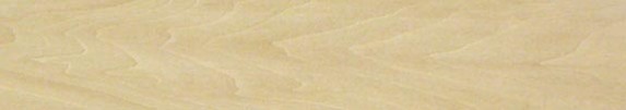 Basswood