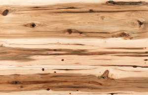 Hickory, Rustic