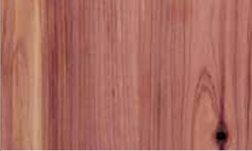 Cedar Aromatic