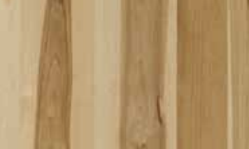Hickory