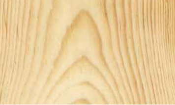 Pine, Eastern White
