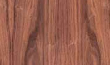 Walnut, American Black